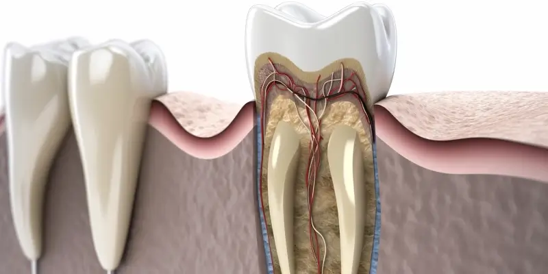Endodoncja mikroskopowa szczecin